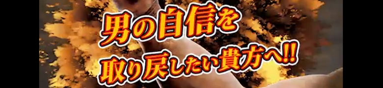 �j�̌��C�������y���o�C�^�X�z���T�C�g